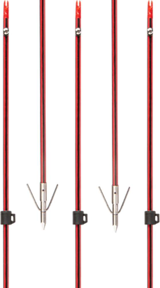 Wasp Arrow with Piranha Long Barb XT Point