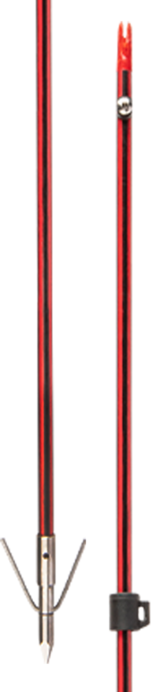 Wasp Arrow with Piranha XT Point