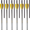 Wrath Arrows